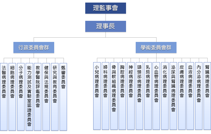 台灣病理學會 委員會組織架構圖